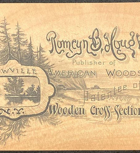 Business card of Romeyn Beck Hough, printed on a thin slice of hardwood, originally loosely laid in vol. 1 of The American Woods, Exhibited by Actual Specimens and with Copious Explanatory Text, by Romeyn Beck Hough, 1888, now shelved in a separate envelope (The Linda Hall)