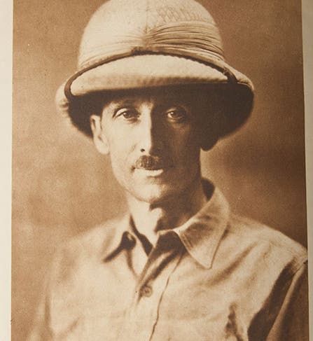 William Beebe, photograph, undated (abebooks.com)