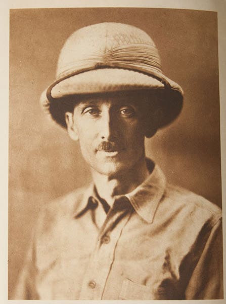 William Beebe, photograph, undated (abebooks.com)