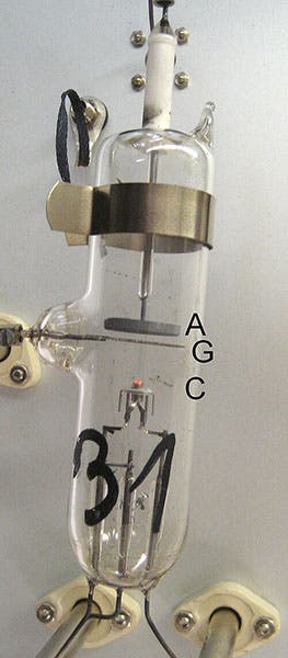 Kind of vacuum tube used for the Franck-Hertz experiment of 1914, contemporary with the one actually used by James Franck; C is the cathode, G the wire-mesh grid, and A the anode; electron flow is upward (Wikimedia commons)