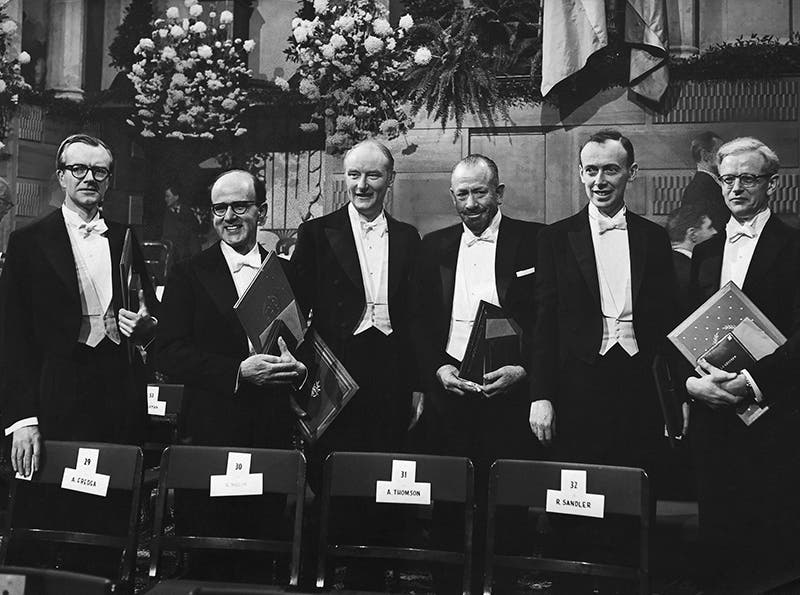 Group photograph of the 1962 Nobel Prize winners in Stockholm, with James Watson, second from right, and Francis Crick, third from left. Novelist John Steinbeck is third from right, looking uneasy(www.achievement.org)