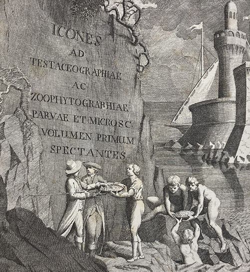 Gathering fossils, detail of engraved frontispiece, Testaceographiae ac zoophytographiae parvae et microscopicae, by Ambrogio Soldani, vol. 1, 1789 (Linda Hall Library)