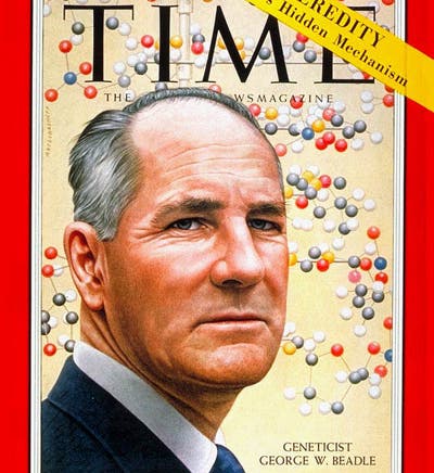 George Beadle, on the cover of Time Magazine, July 14, 1958, just before he was awarded a share of the Nobel Prize in Medicine/Physiology for 1958 (content.time.com)