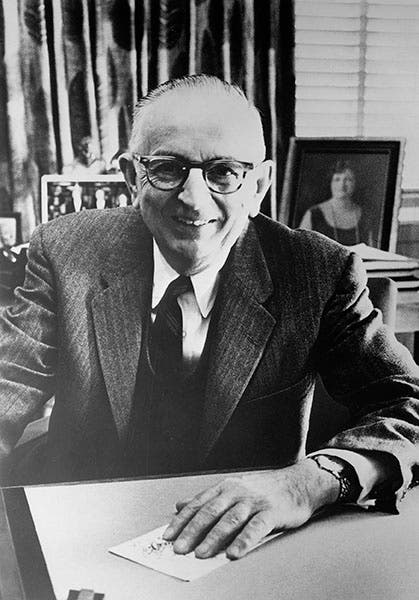Portrait of Warren Weaver, photograph, 1961, Rockefeller Foundation (resource.rockarch.org)