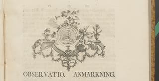 Museum Tessinianum Linnaeus portrait cropped