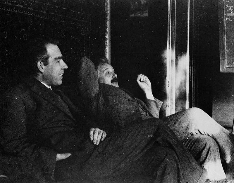 Albert Einstein and Niels Bohr, photograph by Paul Ehrenfest, at his house in Leyden, 1925 (Wikimedia commons)