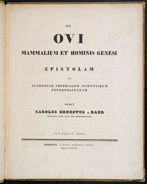 Title page, De ovi mammalium et hominis genesi epistolam, by Karl Ernst von Baer, 1827; cum tabula aenea at the bottom means “with a copper plate” (Linda Hall Library)