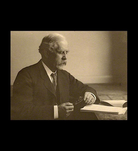 <p>The Albinism Project</p>