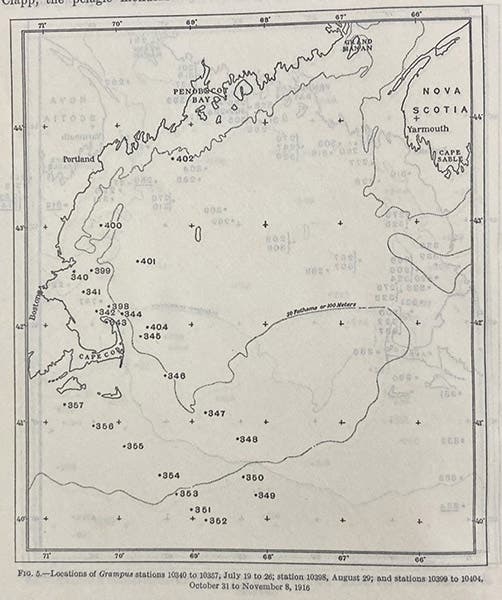 Map of Grampus stations visited in the Gulf of Maine in 1916, in “Plankton of the offshore waters of the Gulf of Maine,” Bulletin of the U.S. Bureau of Fisheries, by Henry Bryant Bigelow, vol. 40, pt. 2, p. 10, 1924 (Linda Hall Library)