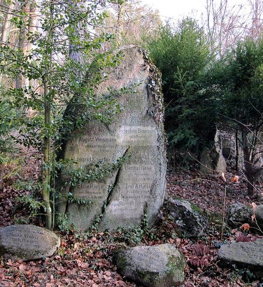Tombstone of August Weismann and his family and descendants, Freiburg (Wikimedia commons)