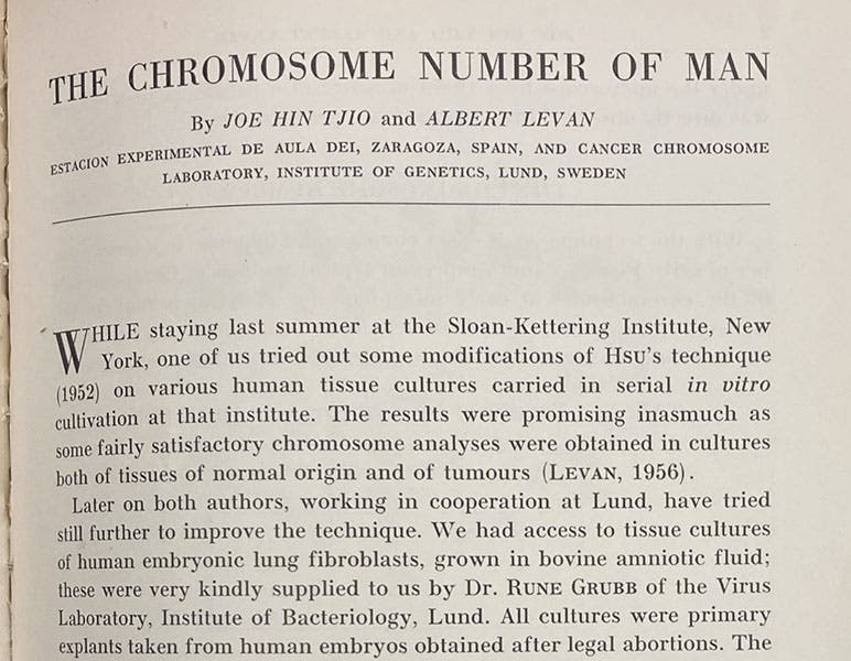 First paragraph, “The chromosome number of man,” by J.H. Tjio and A. Levan, Hereditas, vol, 42, p. 1, 1956 (The Linda Hall)