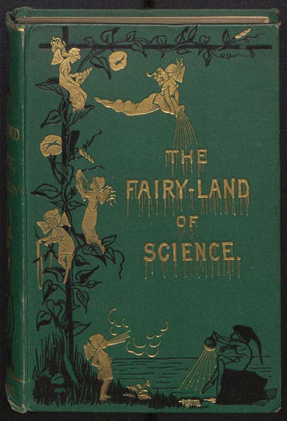 Gold-stamped front cover, The Fairy-Land of Science, by Arabella Buckley, 1887 (Linda Hall Library)