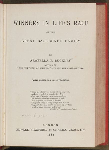 Title page, Winners in Life's Race, or the Great Backboned Family, by Arabella Buckley, 1882 (Linda Hall Library)