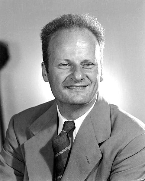 Portrait of Hans Bethe, forced to leave Germany by the Law of April 7, 1933, moving to Cornell University in the United States, where he won the Nobel Prize in 1967 (Wikimedia commons)