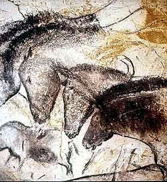 Horses’ heads, detail of Sector of Horses, Chauvet Cave, Ardeche, France (donsmaps.com)