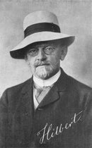 Portrait of David Hilbert (Wikimedia commons)