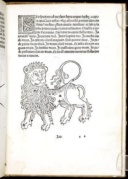 The constellation Leo, woodcut in Poeticon astronomicon, by Hyginus, 1482 (Linda Hall Library)