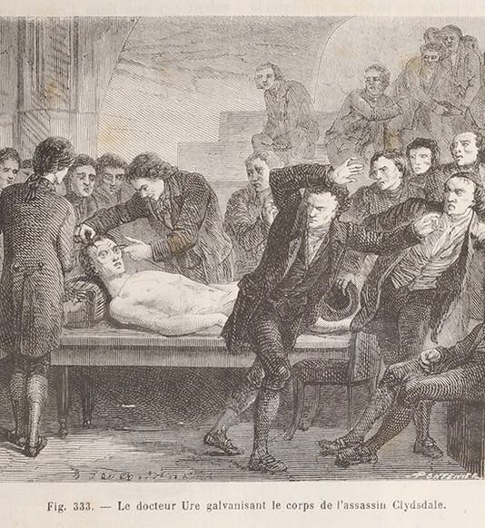 “Doctor Ure galvanizing the body of the assassin Clydesdale,” wood engraving in Les merveilles de la science, by Louis Figuier, vol. 1, p. 653 (Linda Hall Library)