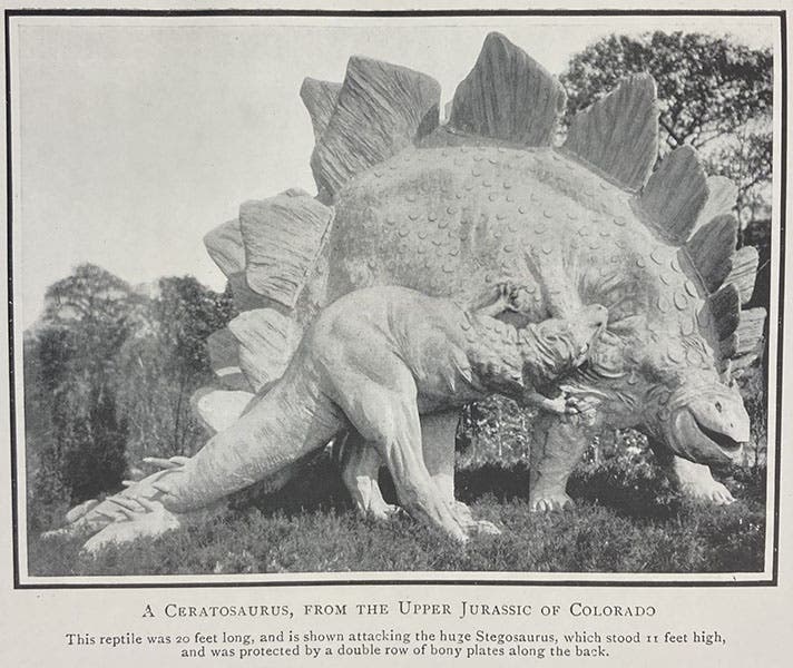 Stegosaurus attacked by Ceratosaurus, sculpture by Josef Pallenberg at Tierpark Hagenbeck, Hamburg, photograph in Geology of To-day, by John W. Gregory, p. 254, 1915 (The Linda Hall)