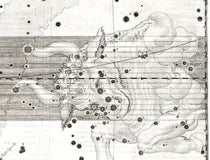 Detail of the star map of the constellation Taurus, Johann Bayer, Uranometria, plate 24, 1603 (Linda Hall Library)