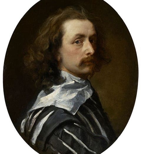Self-portrait of Anthony van Dyck, oil on canvas, 1640, National Portrait Gallery, London (npg.org.uk)