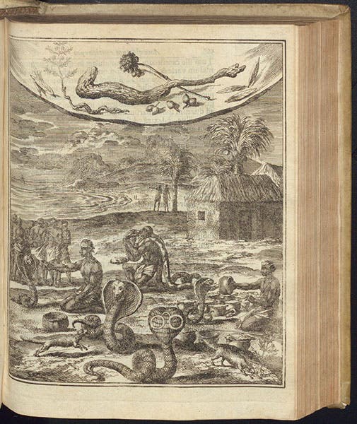 Snake charmers and cobras, etching, Amoenitatem exoticarum, by Engelbert Kaempfer, p. 759, 1712 (The Linda Hall)