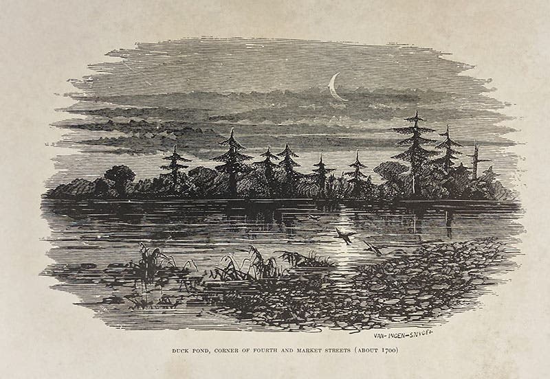 A duck pond in Philadelphia, where diatoms proliferated, as drawn in 1700, frontispiece, The Diatomaceæ of Philadelphia and Vicinity, by Charles S. Boyer, 1916, early acquisition of Ruth Patrick, with her hand-written home address on flyleaf (The Linda Hall)