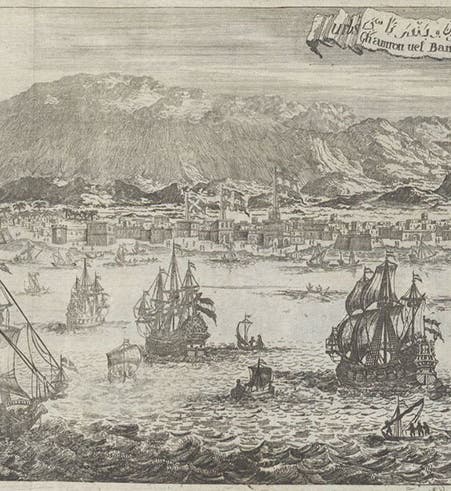 Bandar Abbas, port city, Strait of Hormuz, Persian Gulf, folding etching in Amoenitatem exoticarum, by Engelbert Kaempfer, p. 759, 1712 (The Linda Hall)