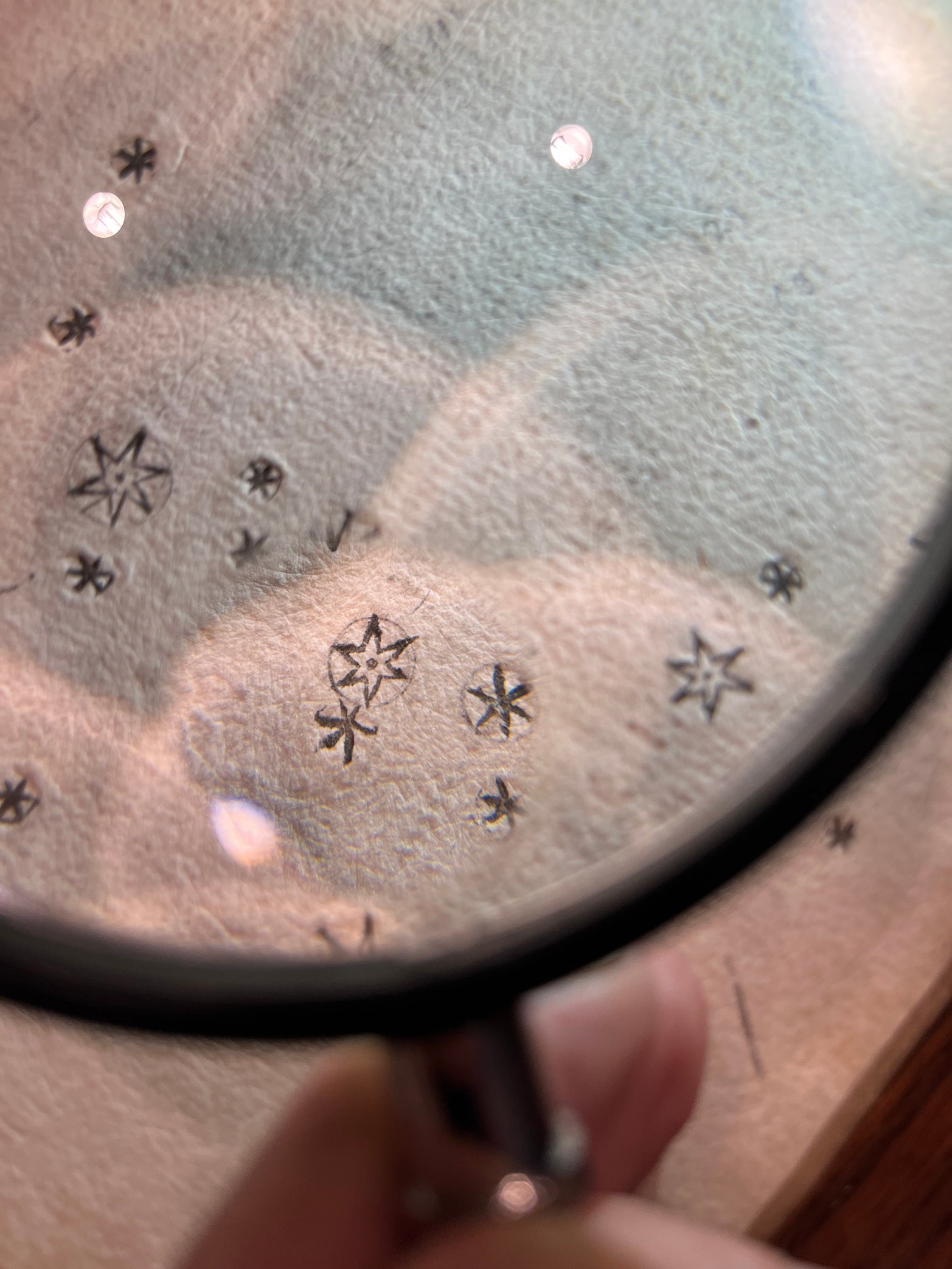 Sidereus Stars Under Magnifying Glass