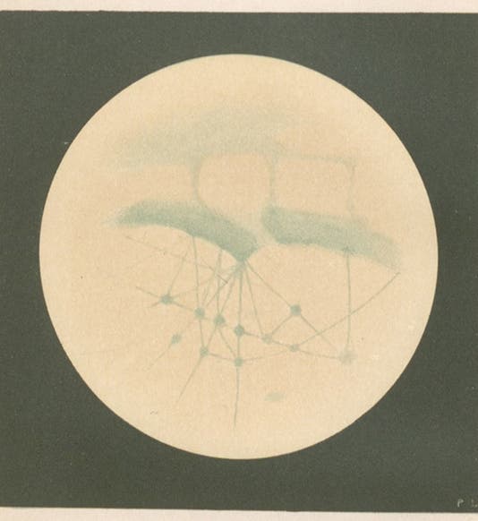Sinus Titanum on Mars, drawing by Percival Lowell, frontispiece to Mars, by Percival Lowell, 1895 (Linda Hall Library)