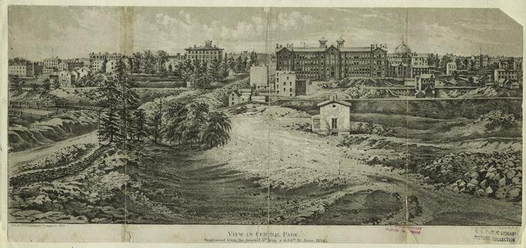 Central Park under construction, photograph, 1858 (diannedurantewriter.com)