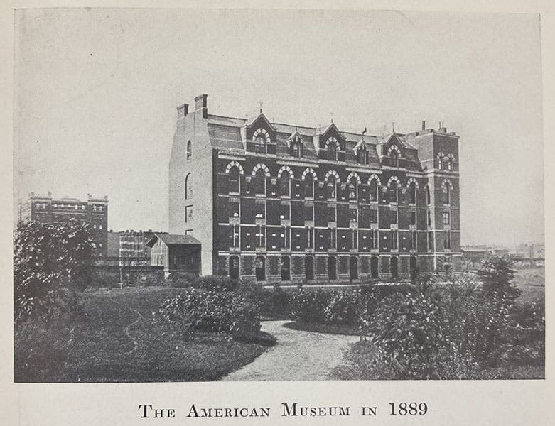 The American Museum of Natural History in Central Park, New York City, as it looked when Frank Chapman first went to work there in 1888, photograph, Autobiography of a Bird-Lover, by Frank M. Chapman, 1933 (Linda Hall Library)