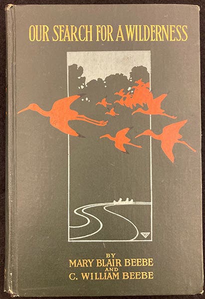 Front cover, Our Search for a Wilderness, by Mary Blair Beebe and C. William Beebe, 1910 (The Linda Hall)