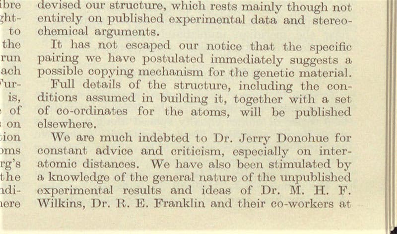Detail of the final paragraphs of “Molecular structure of nucleic acids: A structure for deoxyribose nucleic acid," by James D. Watson and Francis Crick, Nature, vol. 171, p. 737, Apr. 25, 1953 (Linda Hall Library)