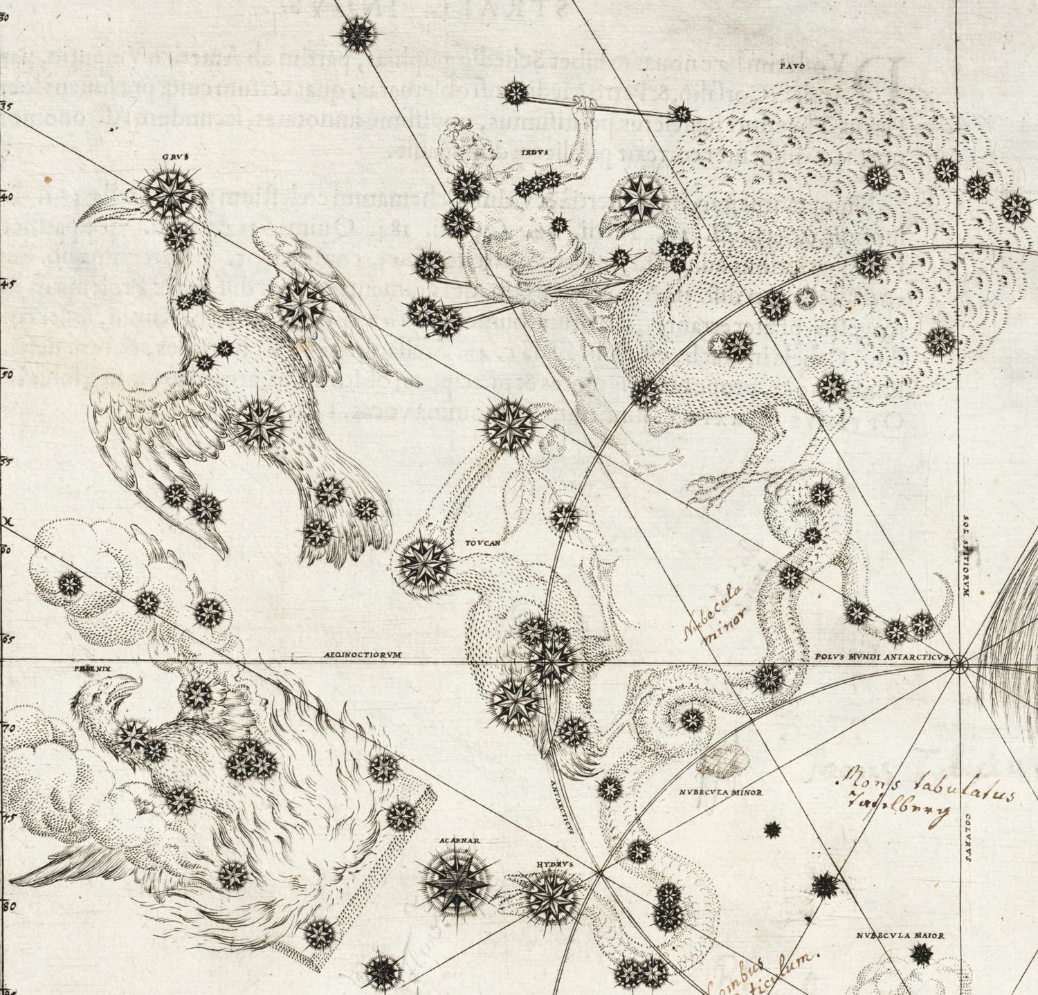 Southern Stars. Image source: Bayer, Johannes. Uranometria. Augsburg: Excudit Christophorus Mangus, 1603.