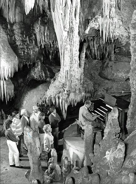 Leland W. Sprinkle playing the Great Stalacpipe Organ, Luray Caverns, Virginia, undated photograph (luraycaverns.com)