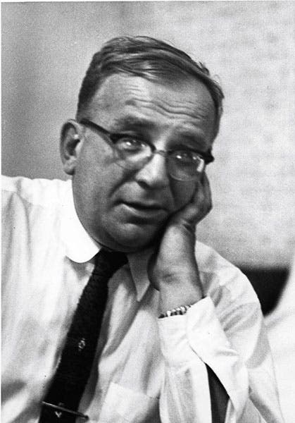Portrait of an older George Gamow, undated photograph,
Emilio Segrè Visual Archives, American Institute of Physics (repository.aip.org)
