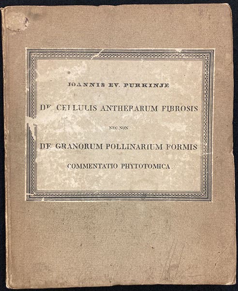 Pasteboard front cover, De cellulis antherarum fibrosis nec non de granorum pollinarium commentatio phytotomica, by Jan Evangelista Purkynĕ, 1830 (Linda Hall Library)