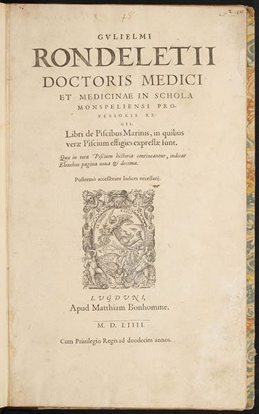 Title page, Libri de piscibus marinis, by Guillaume Rondelet, 1554-55 (The Linda Hall)