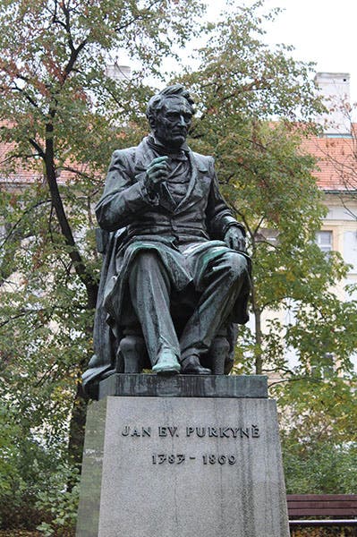 Statue of Jan Evangelista Purkynĕ, bronze sculpture, Charles Square, New Town, Prague (Wikimedia commons)