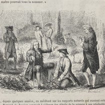 Linnaeus teaching in the field, wood engaving, Le muséum d'histoire naturelle, by Paul-Antoine Cap, part 1, detail of p. 15, 1854 (Linda Hall Library)
