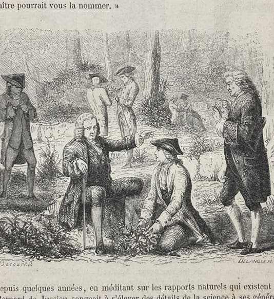 Linnaeus teaching in the field, wood engaving, Le muséum d'histoire naturelle, by Paul-Antoine Cap, part 1, detail of p. 15, 1854 (Linda Hall Library)