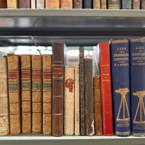 Richard de Neufville Survey Collection