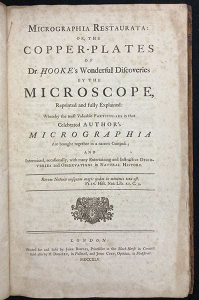 Title page, Micrographia restaurata, by Robert Hooke, 1745, gift of Ruth Patrick, with bookplate of Frank Patrick (The Linda Hall)