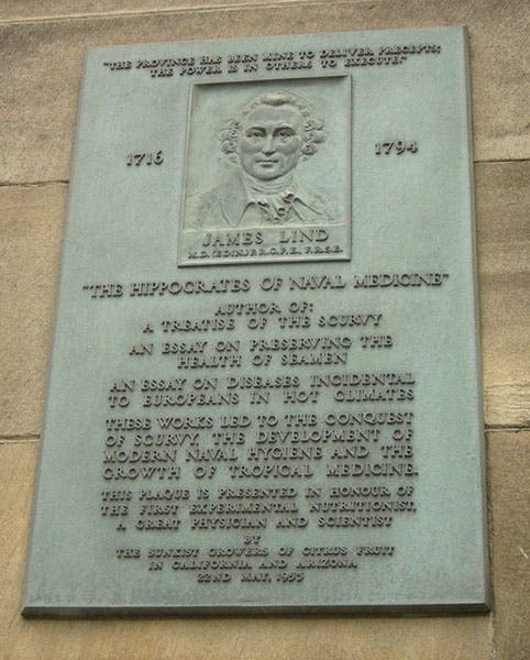 Plaque honoring James Lind at the Edinburgh Medical School, calling Lind the “Hippocrates of Naval Medicine” (Wikimedia commons)