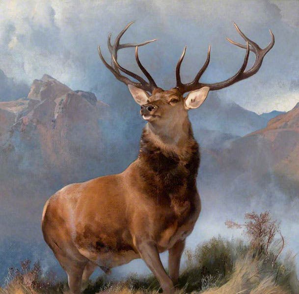 Monarch of the Glen, by Edwin Landseer, oil on canvas, 1851, National Galleries of Scotland (artuk.org)