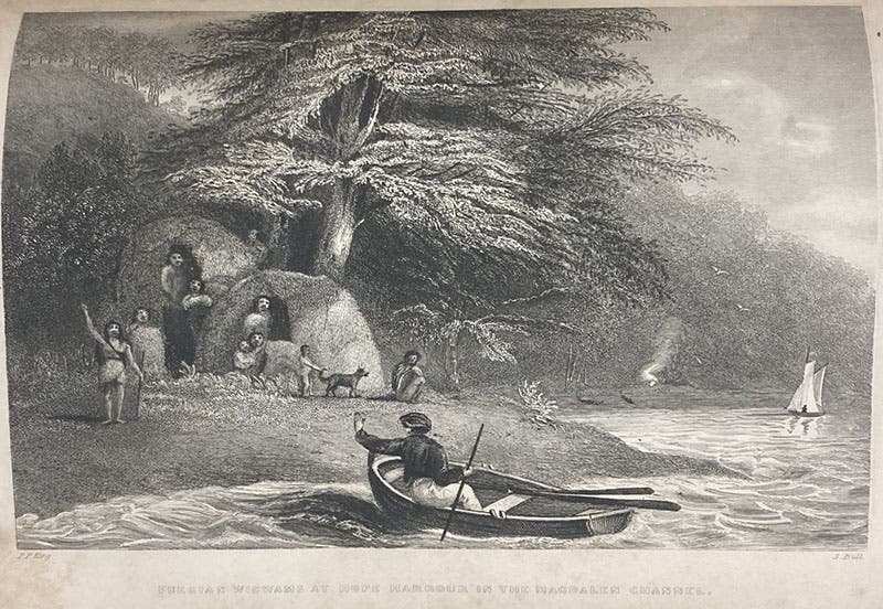 Fuegian wigwams at Hope Harbour, Straits of Magellan, etching after a drawing by Phillip Parker King, in Narrative of the Surveying Voyages of His Majesty's Ships Adventure and Beagle, between the Years 1826 and 1836, by Robert FitzRoy, vol. 1, page 26, 1839 (Linda Hall Library)