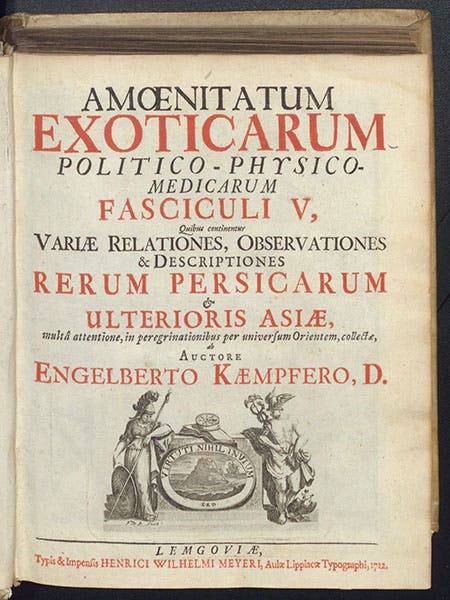 Title page in red and black, Amoenitatem exoticarum, by Engelbert Kaempfer, p. 759, 1712 (The Linda Hall)