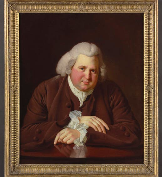 Portrait of Erasmus Darwin, oil on canvas, by Joseph Wright of Derby, 1770, Birmingham Museum and Art Gallery (arthistorynews.com)