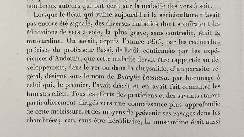Passage where Pasteur acknowledged the work of Agostino Bassi and named the silkworm parasite Botrytis bassiana in Bassi’s honor, Études sur la maladie des vers a soie, Louis Pasteur, 1870 (Linda Hall Library)